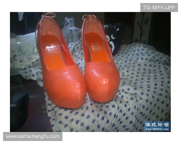 凯发网网站登录入口官网网址2026年最新官方地址安全稳定登录指南